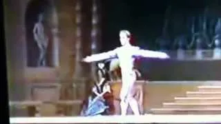 Ballet Gala 1985