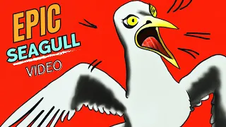 Most Epic Seagull Video