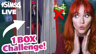 Sims 4, aber BELLA muss in einer BOX ÜBERLEBEN! 📦😱 1 Box Challenge #01 | morebella