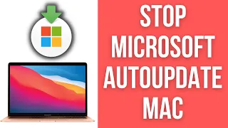 How To Stop Microsoft Autoupdate On Startup On M1 Mac macOS Office 365