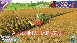 A SUNNY HARVEST - No Mans Land - Episode 33 - Farming Simulator 22