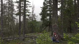 CCTV Screen Face Description  And A Young Hunter Shoots A Sasquatch In The Chest