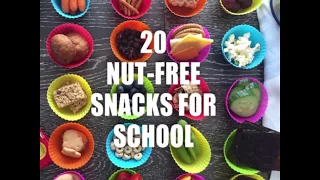 20 Nut-Free Snacks for School