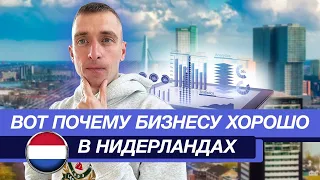 Какой город в Нидерландах выбрать для жизни? | Амстердам, Роттердам, Гаага? | Личный опыт