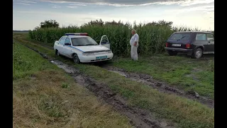 Под Тернополем экс-мэр попался на краже лука и капусты с чужого огорода: появилось видео.