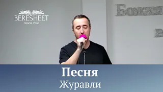 Журавли - Саша Туманов | христианская песня