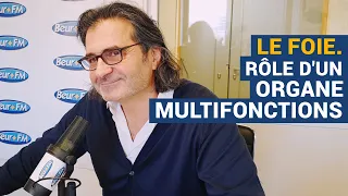 [AVS] Le foie. Rôle d’un organe multifonctions - Dr Réginald Allouche