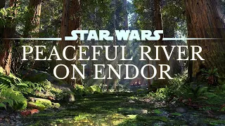 Star Wars 4K Ambience | Peaceful River On Endor | Sleep, Study, Ambient Noise | No Music [8 Hrs.]
