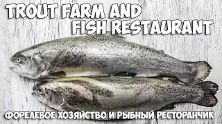 Trout farm and Fish restaurant / Форелевое хозяйство и ресторан