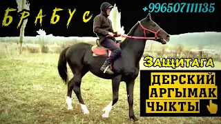 Жогорку Лигага жарайтурган Аргымак Брабус 💥🔥💥 +996507111135