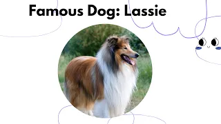 Famous Dog: Lassie