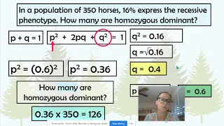 Example Hardy-Weinberg Problems