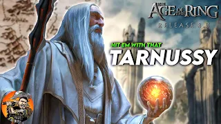 Trouble in Tarnost Town! | Age of the Ring Mod 2v2