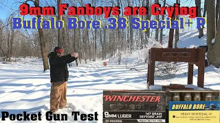Buffalo Bore .38 Special+P 158 gr SWCHP Snub Nose Test - 9mm Fanboys are Crying!