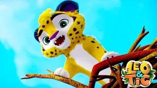 Leo y Tig 🐯 Un viejo amigo 🦁 Super Toons TV Dibujos Animados en Español