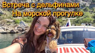 Крым / Балаклава / морская прогулка с дельфинами и рыбкой / отдых сказка