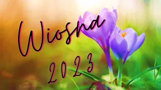 WIOSNA 2023💙🌷TAROT KOLEKTYWNY💙 [Kreatywna Intuicja Tarot & Coaching]