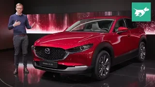 Mazda CX-30 2020 review walkaround