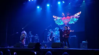 Bad Animals (Heart Tribute) at The Landis Theater 10-08-22 Barracuda