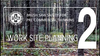 Brush Saw Safety for Pre-Commercial Thinning | Video Two | Brush Saw Work Site Planning