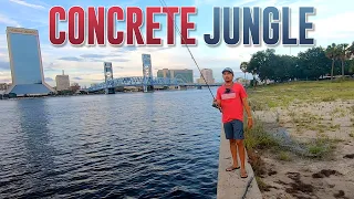 EPISODE 4 - Fishing All Over Jacksonville From Shore - CONCRETE JUNGLE