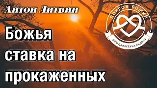 Божья ставка на прокаженных (Антон Литвин) "Покров Божий" | 13/10/18