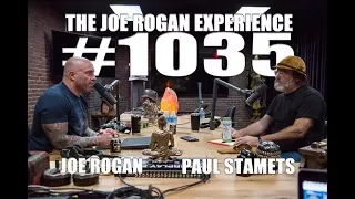 Joe Rogan Experience #1035 - Paul Stamets