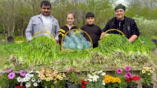 FLOWERED LEEK RECIPE | Harvesting Few-Flowered Leek In Village | Best Vegetable Recipe With Chicken