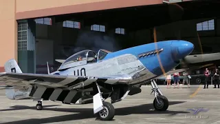 North American P-51D - Kermit Gives Mustang Rides!