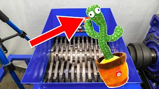 Trituradora vs Cactus bailarín