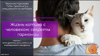 Жизнь котика с человеком: секреты гармонии, часть 1