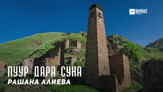 Рашана Алиева - Луур дара суна (Мне бы хотелось) | KAVKAZ MUSIC CHECHNYA