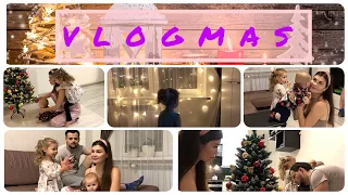 Vlogmas 1| Наряжаем елку| Заряжаем позитивом| Гуляем в снежном лесу|