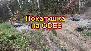 Четыре AODES PATHCROSS MUD PRO 1000 по Кировскому лесу.