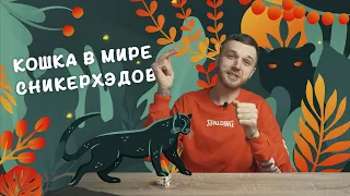 История Puma и культовых моделей бренда