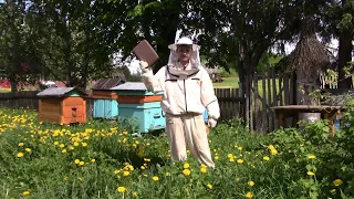 Пчеловодство с нуля. Часть вторая.