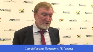 Гавриш Сергей Федорович, Президент, ГК Гавриш