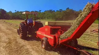 PRODUÇÃO DE FENO