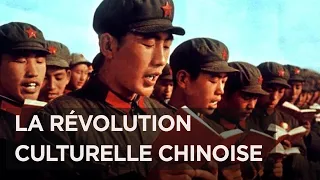 La révolution culturelle, histoire d'une culture assassinée - Chine - Mao Zedong - Documentaire -AMP