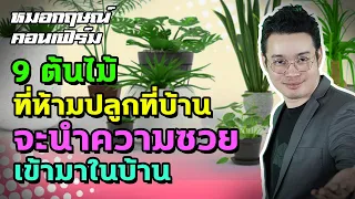 9 ต้นไม้ที่ห้ามปลูกที่บ้าน จะนำความซวยเข้ามาในบ้าน | หมอกฤษณ์ คอนเฟิร์ม