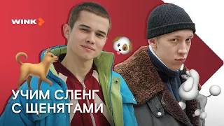 Актеры сериала «Слово пацана» учат сленг с щенками (2023) Wink