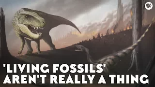 'Living Fossils' Aren't Really a Thing