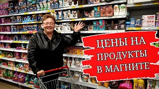 МАГНИТ! Цены на Продукты + Вкусняшки для Кота