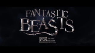 Fantastic Beasts and Where to Find Them - TV Spot "Return to the Wizarding World"