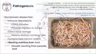 Intro to Micro: Evolve Parasite