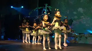 Osa Ballet THE BEE | Enchanted Forest, Jakarta 2023
