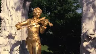 Johann STRAUSS  Contes de la Forêt Viennoise, opus 325