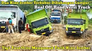 Mitsubishi Fuso VS Hino500 ||Tiga Fuso Oren Mengamuk Tarik Dua Hino Jember Terkubur Dikubanga Lumpur