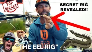 THE EEL RIG! TOP SECRET BASS BAIT!!