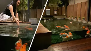 Amazing Koi Villa & Koi Pond Collection **TOUR**